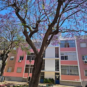 Blife Farensya Private Distrikt Faro